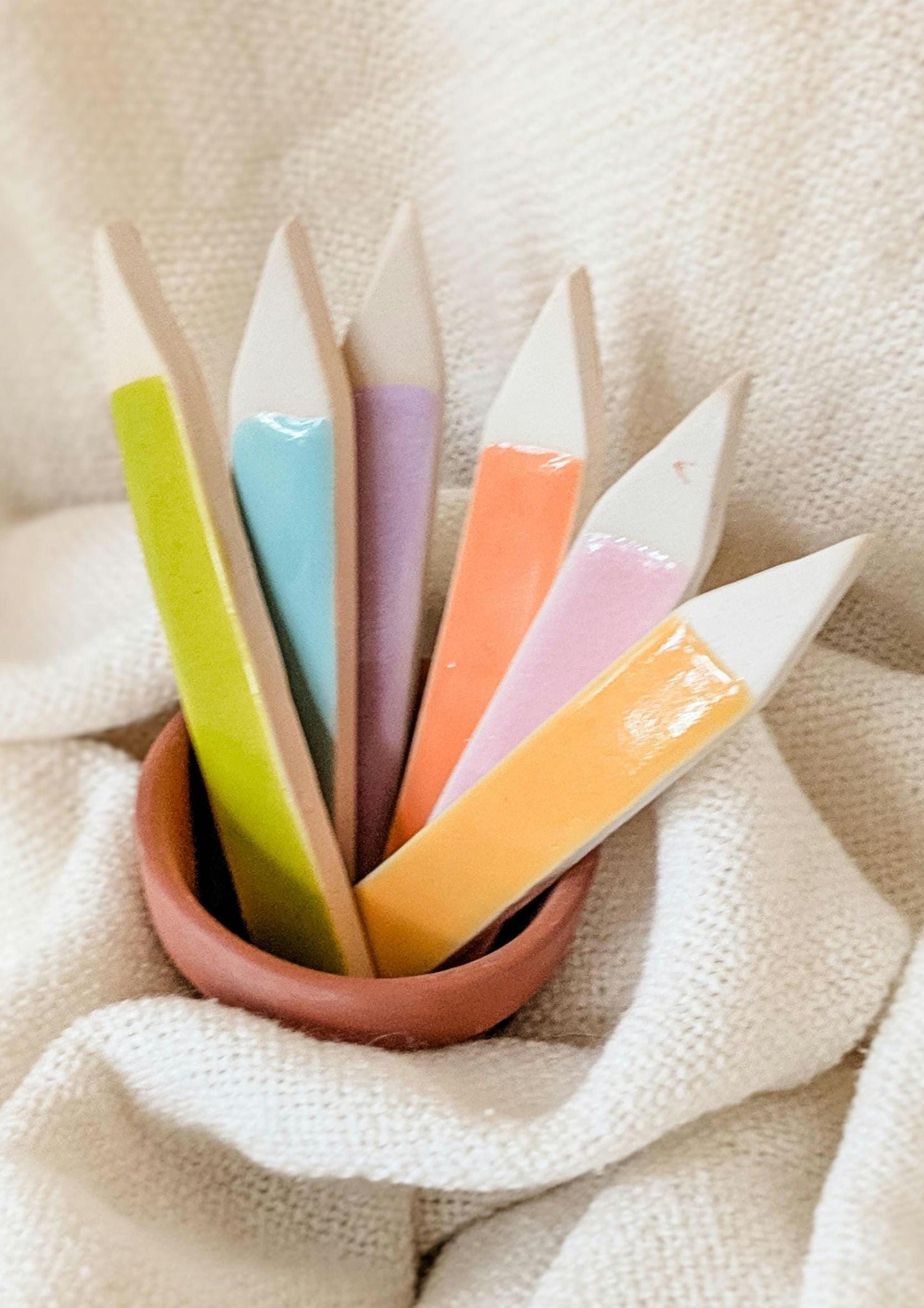 Ceramic Colorful Reusable Blank for Garden Markers/ Herb Stakes/ Vegetable and Fruits Tag for Writing Waterproof and Weather Resistant